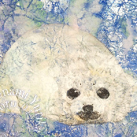 海南百合香の日本画作品「Sapphire(アザラシ)」